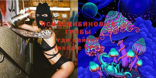 индика Наволоки