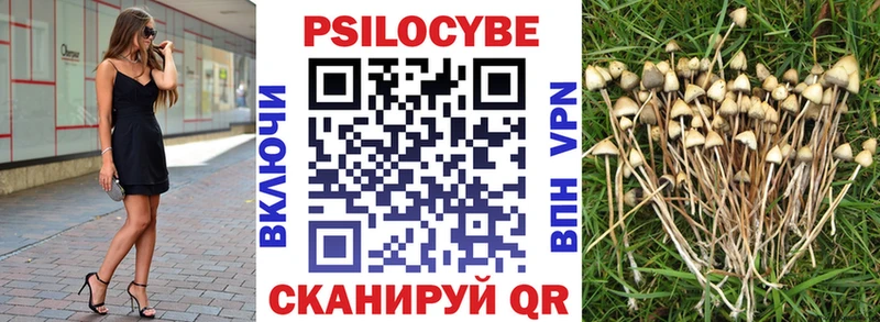 Псилоцибиновые грибы Psilocybine cubensis  магазин  наркотиков  Верхоянск 